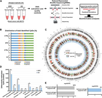 Genome-wide DNA methylation changes upon DOT1L inhibition in hormone-responsive breast cancer cells